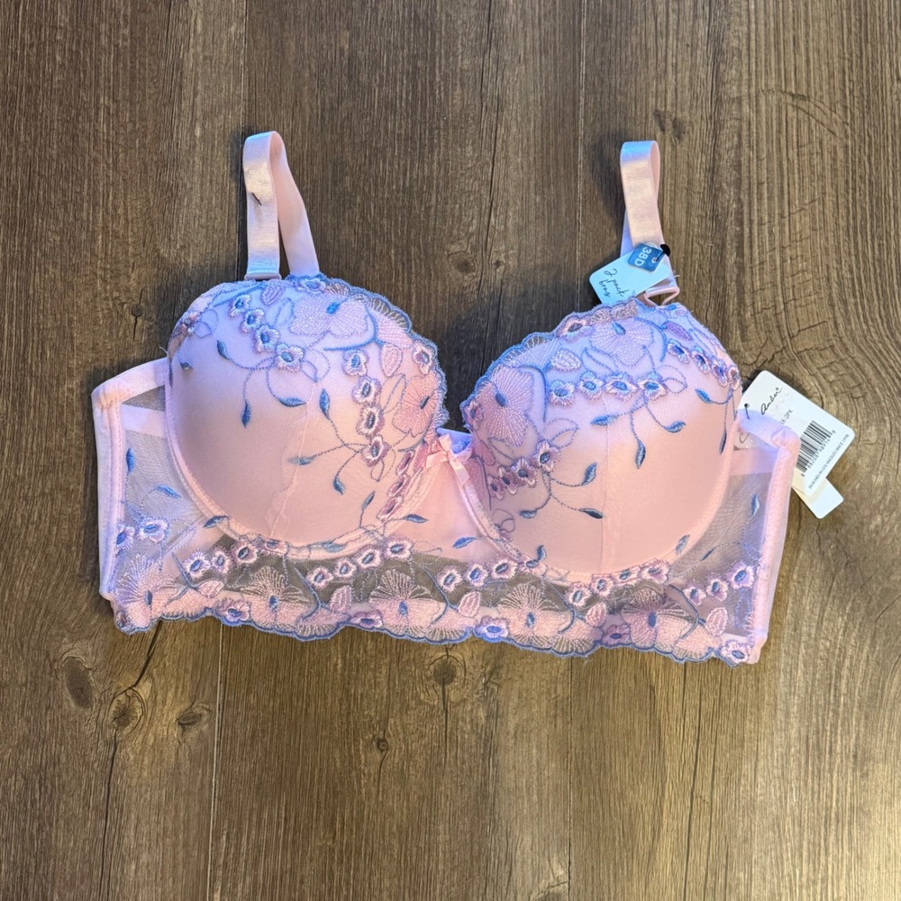 Carrie Amber Intimates Pink Blue Floral Embroidered Bra Coquette Victorian 38D